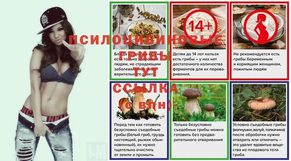 прущие крисы Армянск
