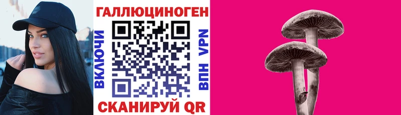 цена Рыльск Псилоцибиновые грибы мицелий